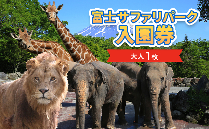 富士サファリパーク入園券 【大人1枚】 サファリパーク 動物園 動物 餌やり えさやり ふれあい 子供 こども 家族 お出かけ スポット 裾野市  裾野|小泉アフリカ・ライオン・サファリ　株式会社