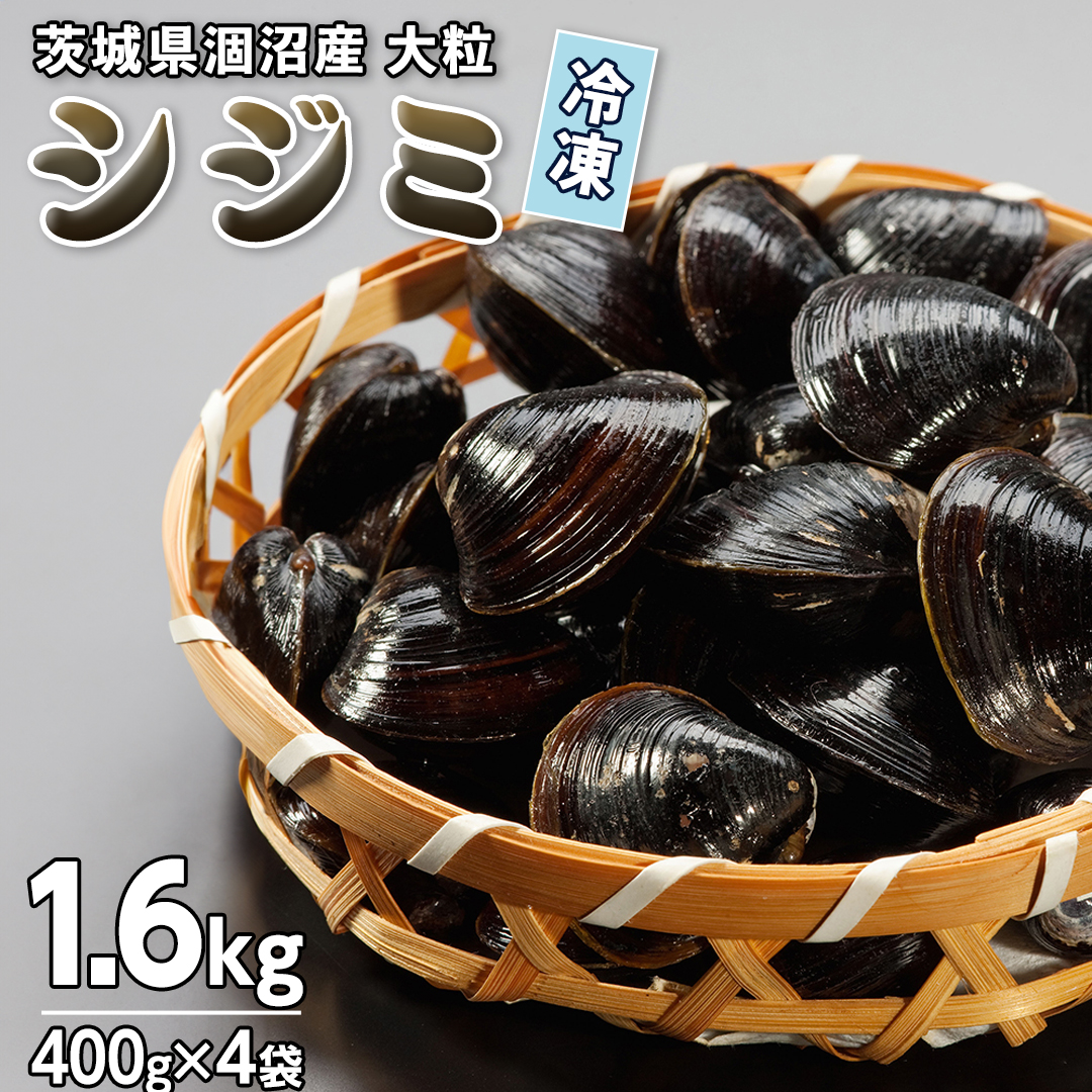 茨城県 涸沼産 大粒 冷凍 シジミ 1.6kg（400g×4袋） ヤマトシジミ