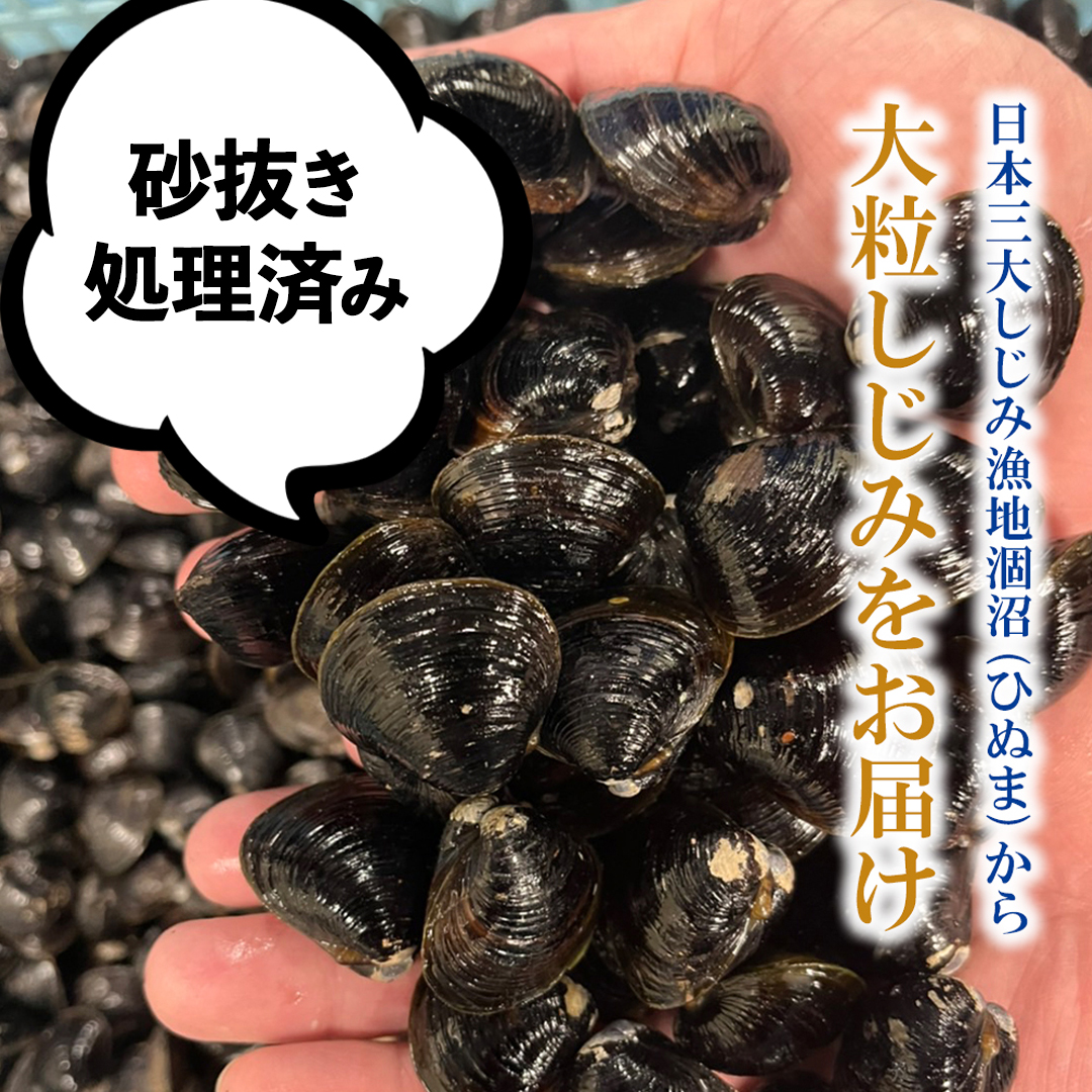 C863.★しじみ★ 茨城県 涸沼産 大粒 冷凍 シジミ 1.6kg（400g×4袋） ヤマトシジミ