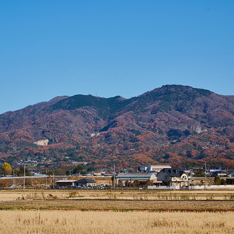 茨城県桜川市のふるさと納税 【3ヶ月定期便】 筑波山麓・羽鳥の沢水米 コシヒカリ 5kg × 3回 定期便 米 お米 コメ 精米 白米 桜川市 茨城県 [BN003sa]