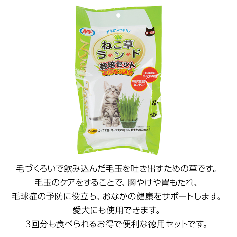 Amazon.co.jp: neco-ri ねこり ネコリ 10g×10包 猫の健康おやつ