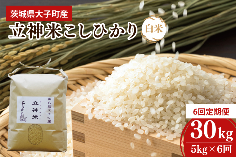 【6ヶ月定期便】【特別栽培米】令和6年度産 立神米こしひかり（白米）定期便 5kg 6回お届け 茨城県 大子町 コシヒカリ 米 コンテスト 受賞  生産者 大子産米（BT023）