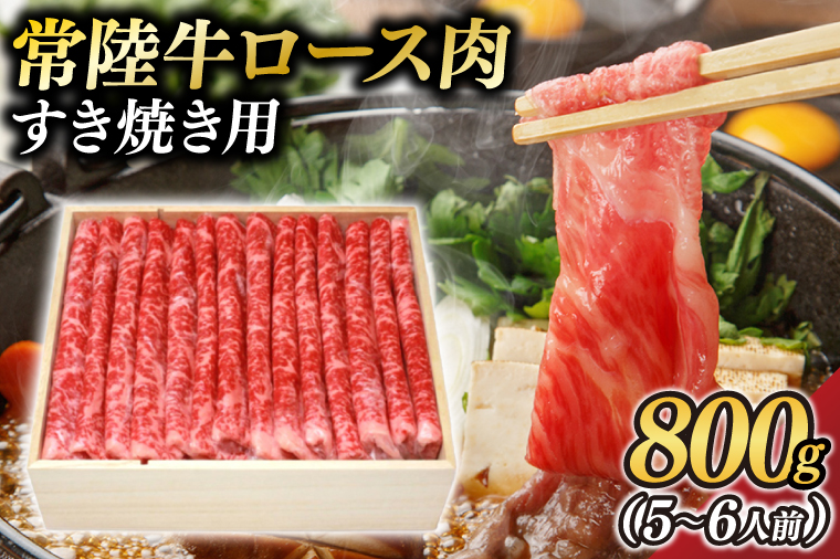 y錧qz錧ւ 헤 [X(Ăp) 4`5 800g(5`6lO)y錧ʕԗiz(BZ003)