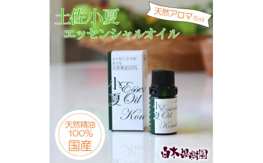 ymyszy GbZVIC 5ml  A}IC  A} I[KjbN 100VRA VR IC Mtg 蕨  v[g  ObY  Y m ys
