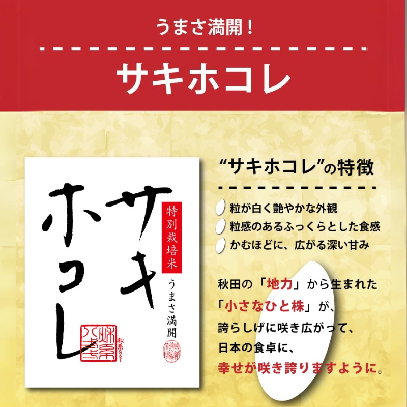 秋田県にかほ市のふるさと納税 【無洗米】特別栽培米サキホコレ4kg（2kg×2） 令和6年産 秋田県 にかほ市 お米 米 こめ