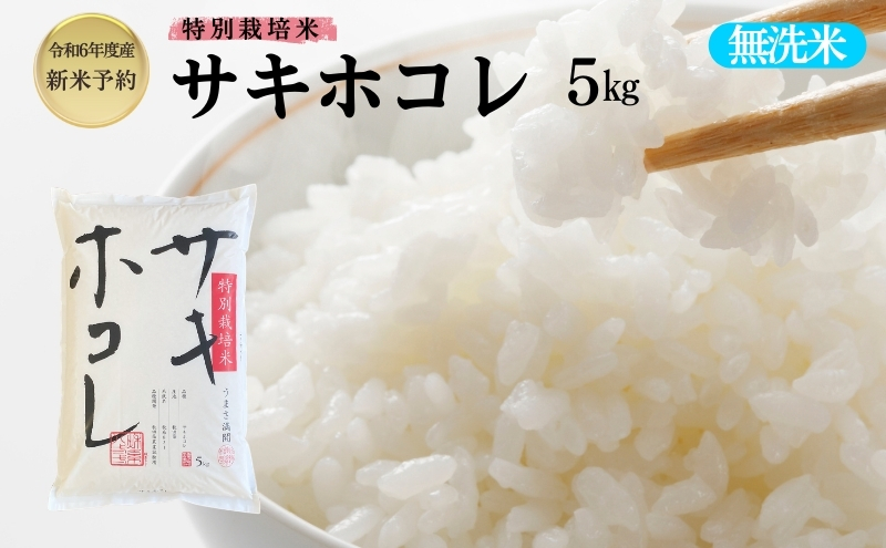 秋田県にかほ市のふるさと納税 【令和6年産新米予約】【無洗米】特別栽培米サキホコレ5kg×1