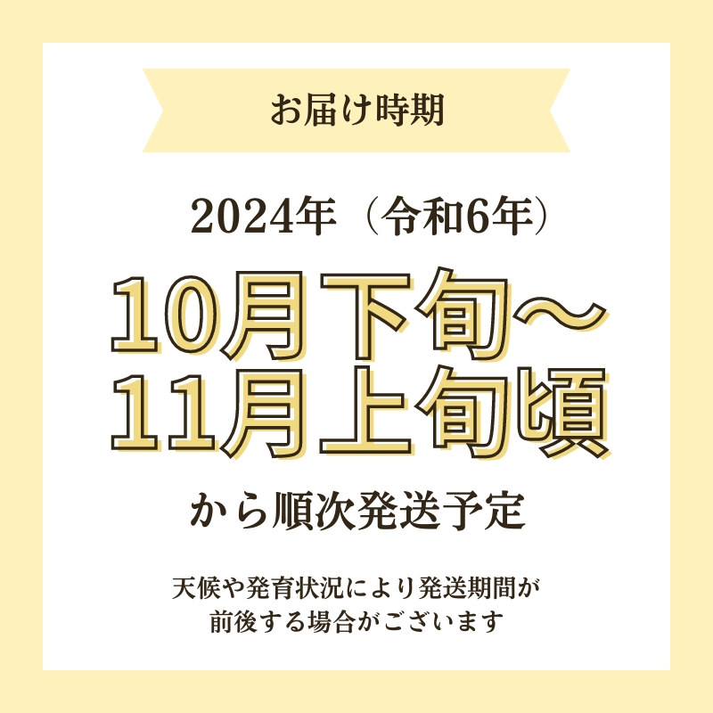 秋田県にかほ市のふるさと納税 【令和6年産新米予約】【無洗米】特別栽培米サキホコレ5kg×1