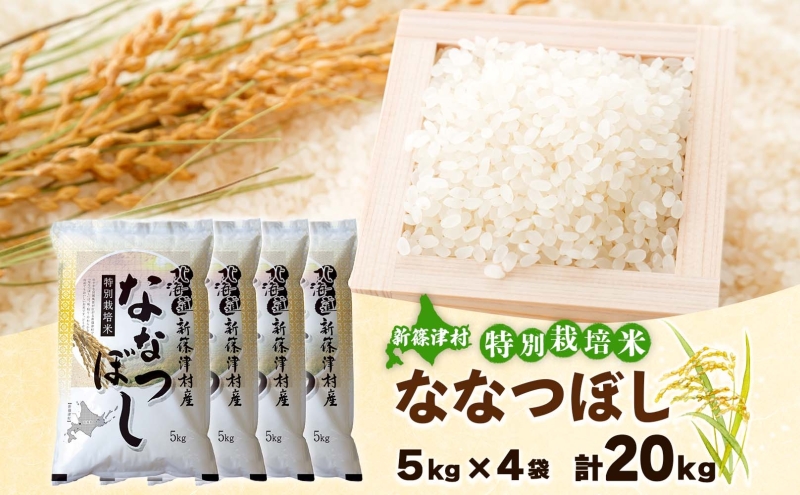 北海道 特別栽培 ななつぼし 20kg 精米 米 白米 お米 新米 ごはん ご飯 ライス 道産米 ブランド米 新しのつ米 ふっくら 食味ランキング  産地直送 お取り寄せ カワサキ森田屋 送料無料|有限会社カワサキ森田屋