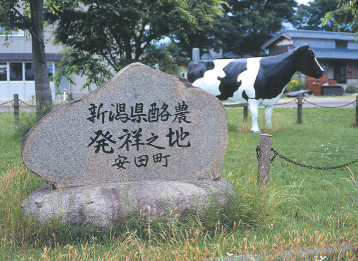 新潟県阿賀野市のふるさと納税 【3年連続最高金賞】ヤスダヨーグルト 150g×20本 酪農家応援セット 小ボトル 無添加 搾りたて こだわり生乳 濃厚 飲むヨーグルト のむよーぐると モンドセレクション 1B72009