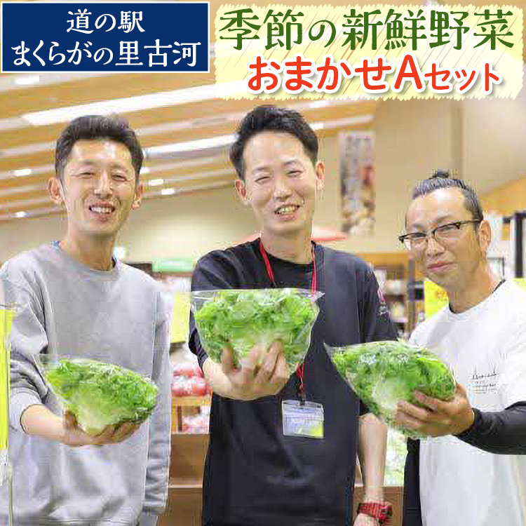 道の駅まくらがの里古河 季節の新鮮野菜おまかせAセット ※北海道・沖縄・離島への配送不可 | 野菜 セット 詰合せ 詰め合わせ セット アソート 新鮮 道の駅 人気 ギフト 贈答 贈り物 プレゼント お中元 お歳暮 茨城県 古河市 直送 農家直送 産地直送 送料無料 _BQ03