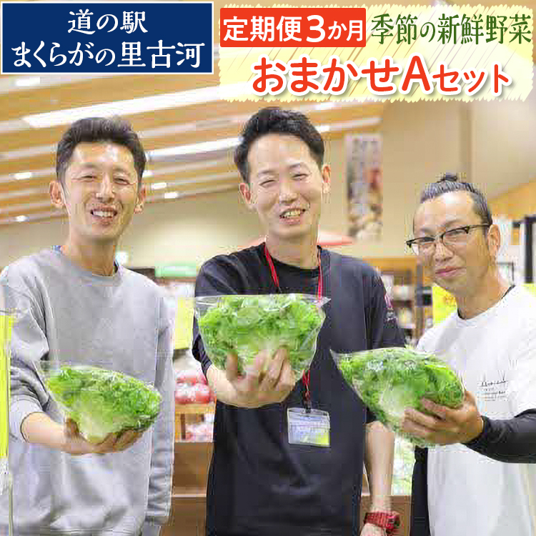 [定期便3か月]道の駅まくらがの里古河 季節の新鮮野菜おまかせAセット ※北海道・沖縄・離島への配送不可 | 野菜 セット 詰合せ 定期便 詰め合わせ セット アソート 新鮮 道の駅 人気 ギフト 贈答 贈り物 プレゼント お中元 お歳暮 茨城県 古河市 直送 農家直送 産地直送 送料無料 _BQ05