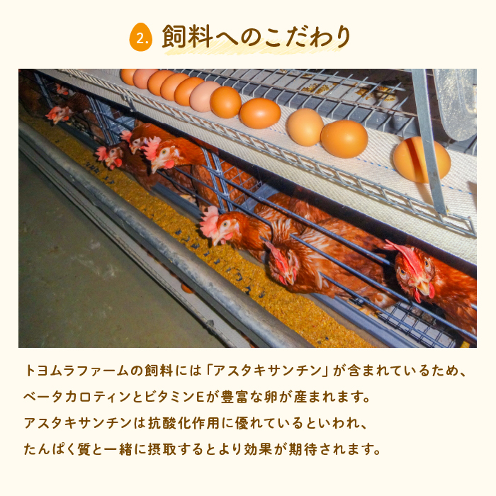 茨城県行方市のふるさと納税 U-2 黄身がしっかり濃厚な卵【アスタの恵み】50個