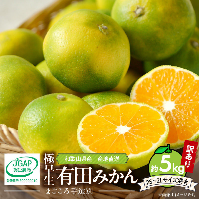 AB7055n_有田育ちの濃厚 不知火 (デコポンと同品種)（訳あり