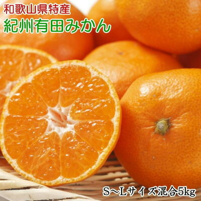 BL6161n_Y_【直営限定】（産地直送）和歌山県産 せとか 2.5kg(M