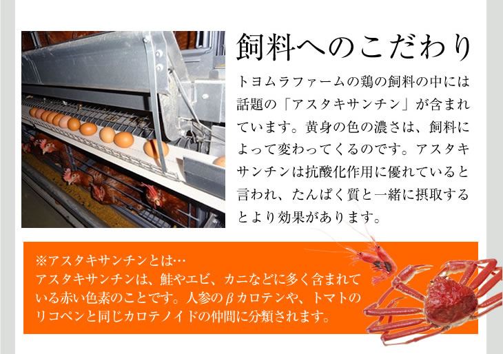 茨城県行方市のふるさと納税 U-3 黄身がしっかり濃厚な卵【アスタの恵み】90個