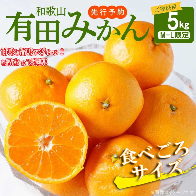 DZ6013n_Y_01_【直営限定】【2025年1月発送】秀品 有田みかん