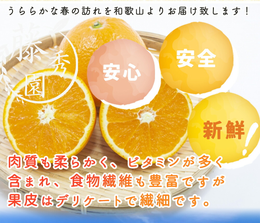 常吉 tsunekichi 岡山リミテッド　オレンジ箱　桃太郎限定カラー 常吉 tsunekichi 岡山リミテッドオレンジ箱桃太郎限定カラー