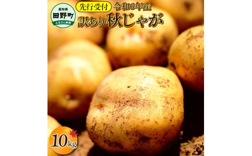 【四国一小さなまちのじゃがいも】★令和6年11月中旬発送開始★ 大野台地で採れた『 令和6年産 秋じゃが 』 10kg　～ 訳あり ～