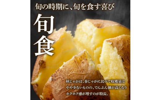 高知県田野町のふるさと納税 【四国一小さなまちのじゃがいも】★令和6年11月中旬発送開始★ 大野台地で採れた『 令和6年産 秋じゃが 』 5kg　～ 訳あり ～