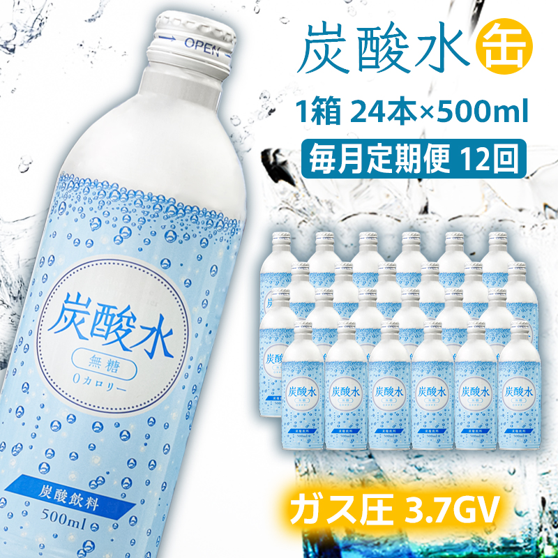 【兵庫県福崎町】炭酸水 定期便 毎月 12回 500ml×24本 ソーダ