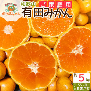 ZJ6080_Y_【直営限定】【ご家庭用】和歌山有田みかん約5kg(SS、S