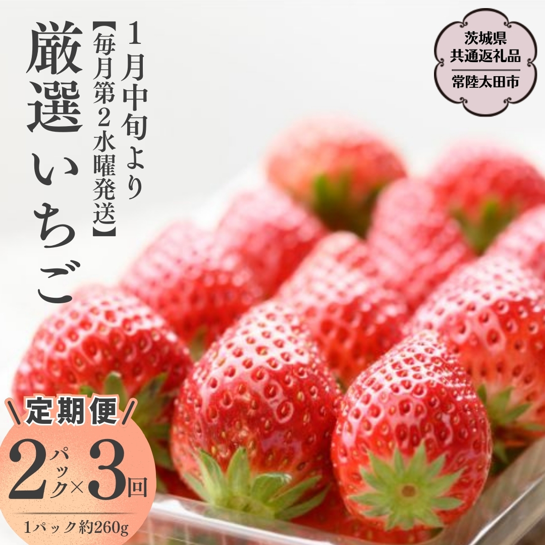 茨城県桜川市のふるさと納税 【2025年1月中旬】【定期コース】厳選いちご 2パック×3回【第２水曜発送】（茨城県共通返礼品／常陸太田市） フルーツ 苺 イチゴ いちご 新鮮 朝採れ 茨城県 桧山FRUITFARM [DY007sa]