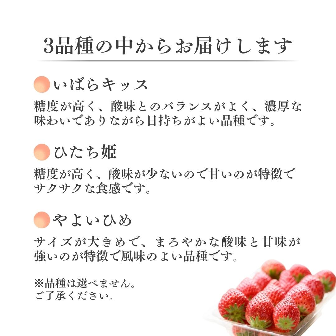 茨城県桜川市のふるさと納税 【2025年1月中旬】【定期コース】厳選いちご 2パック×3回【第２水曜発送】（茨城県共通返礼品／常陸太田市） フルーツ 苺 イチゴ いちご 新鮮 朝採れ 茨城県 桧山FRUITFARM [DY007sa]