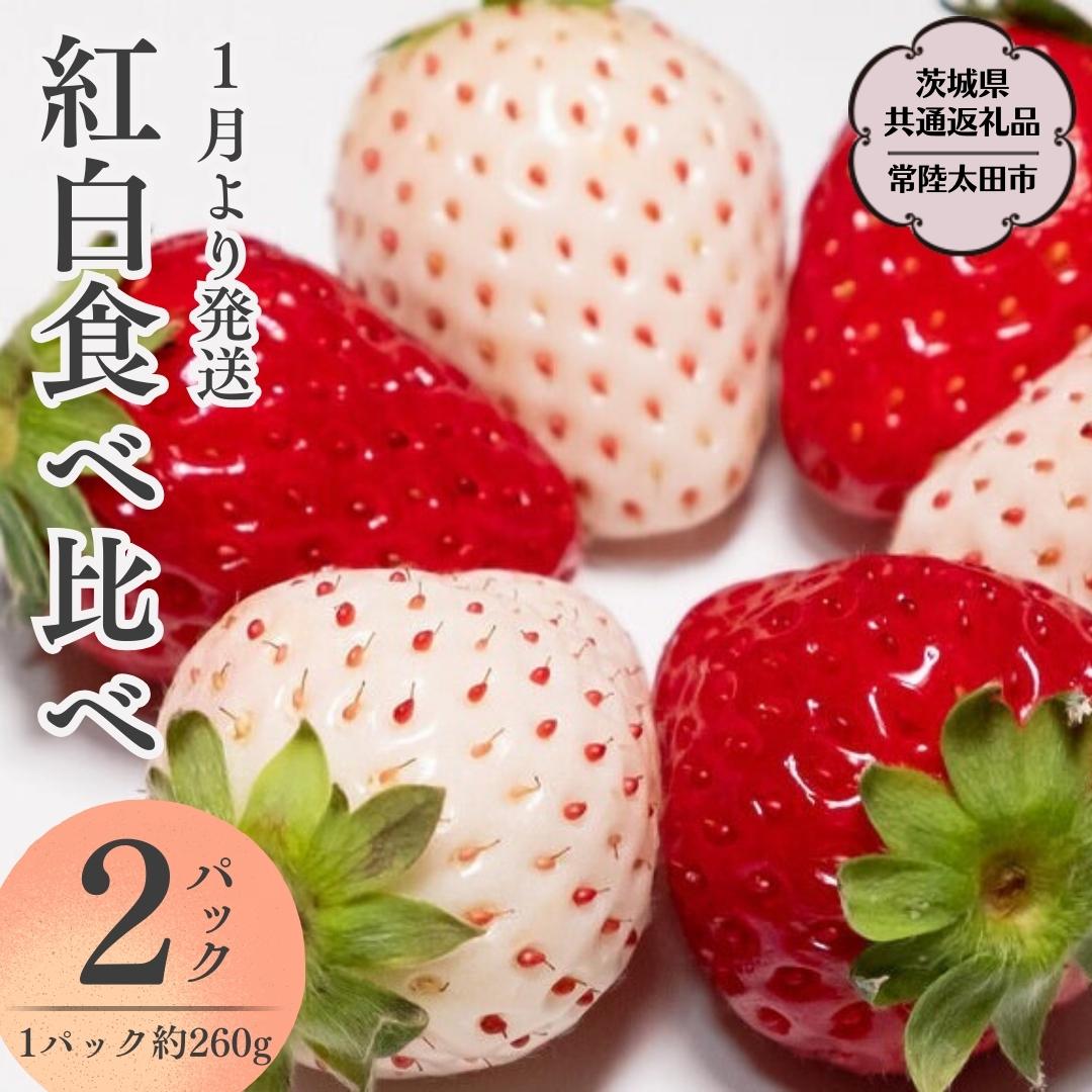 干し芋 小分け 100g×8 個包装 国産 無添加 茨城県産 紅はるか