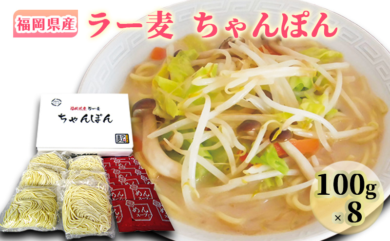 ちゃんぽん 福岡県産 ラー麦ちゃんぽん 1ケース 麺