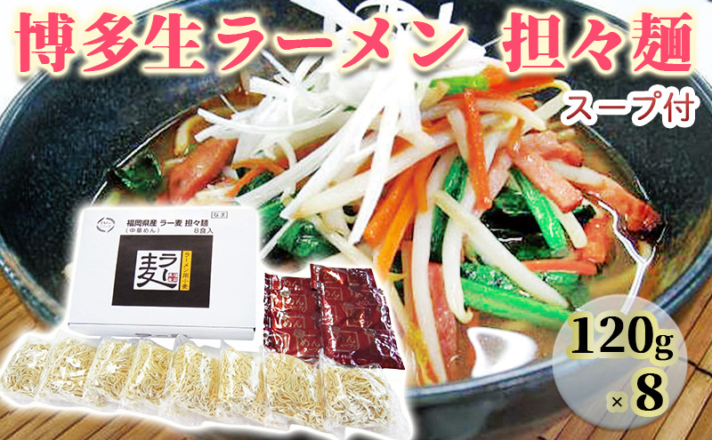 【福岡県朝倉市】ラーメン ラー麦 博多 生ラーメン 担々麺 1ケース 麺