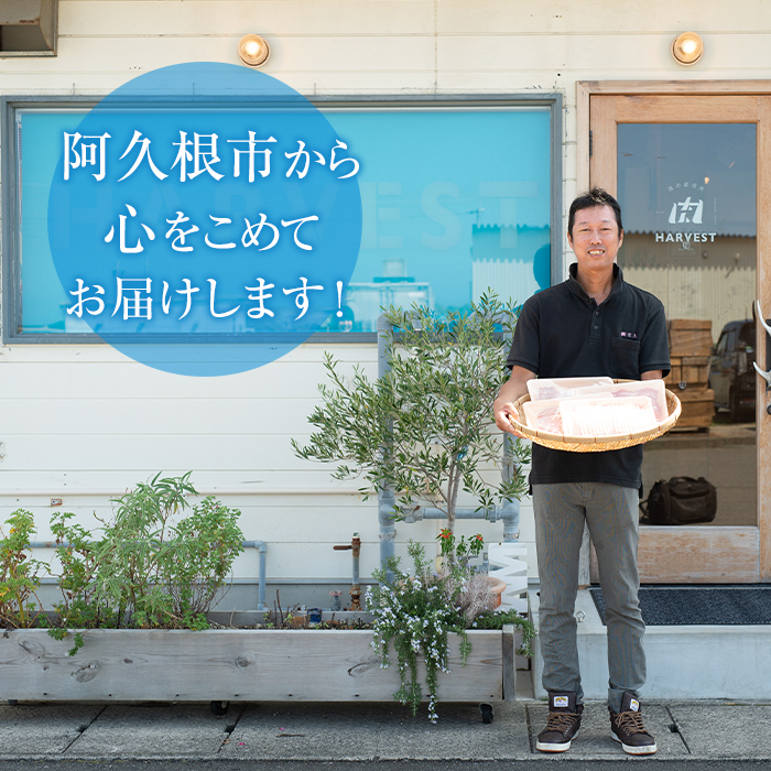 鹿児島県阿久根市のふるさと納税 ＜定期便・全3回＞豚肉ウデモモ切り落とし(計9kg・1パック250g) 小分け 国産 豚肉 豚小間 真空パック 家庭用 豚こま 定期便 スライス 冷凍配送 個包装 切り落し 切落し すき焼き しゃぶしゃぶ セット 詰め合わせ 数量限定【三九】a-47-2-z