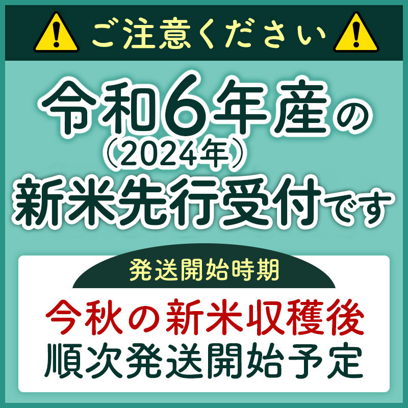 秋田県三種町のふるさと納税 《新米先行受付》《定期便5ヶ月》【白米】あきたこまち 5kg 秋田県産 令和6年産  こまちライン