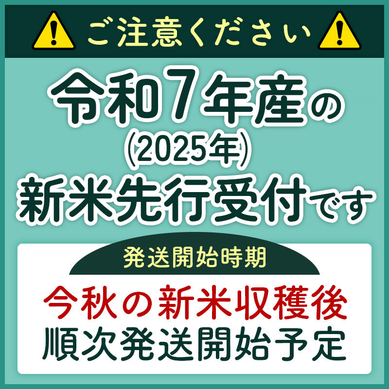 秋田県三種町のふるさと納税 《新米先行受付》【白米】家計お助け米 あきたこまち 5kg 秋田県産 令和7年産  こまちライン