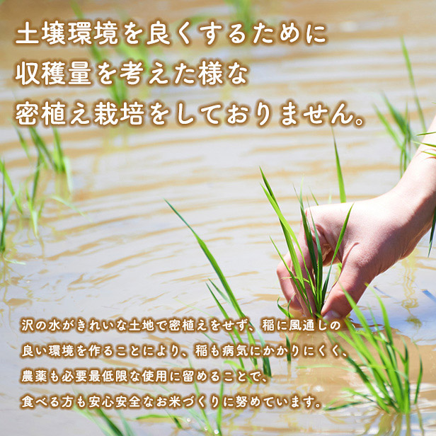 秋田県三種町のふるさと納税 《新米先行受付》【白米】家計お助け米 あきたこまち 5kg 秋田県産 令和7年産  こまちライン