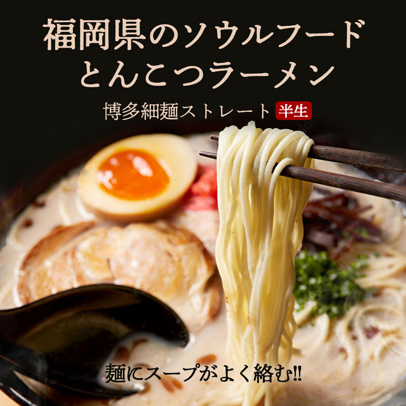 福岡県添田町のふるさと納税 博多の味 豚骨ラーメン 5食 [a0522] 株式会社JSE 【返礼品】添田町 ふるさと納税