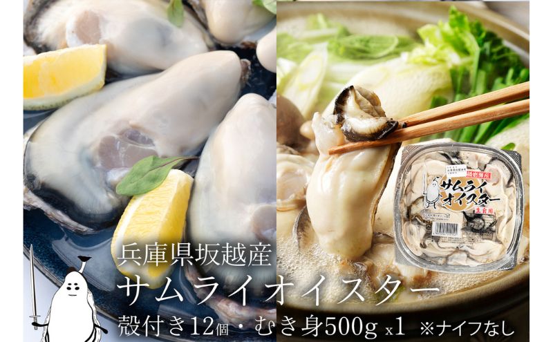 牡蠣 生食 坂越かき むき身 500g×1、 殻付き 12個【ナイフなし】サムライオイスター かき 生牡蠣 兵庫県 赤穂市