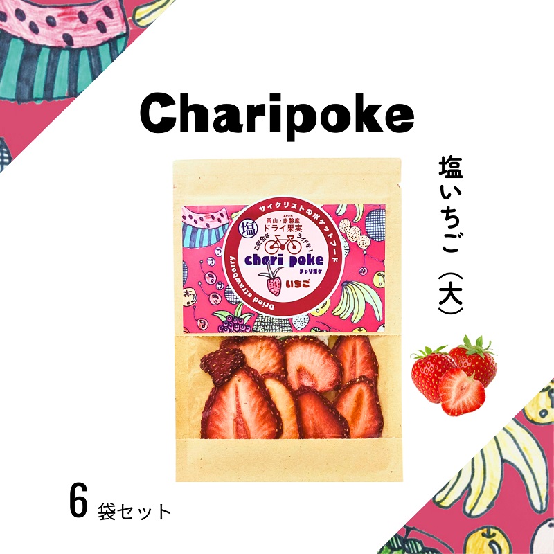 yRԔ֎szhCt[c Chari poke `|P  hCʎ  TCY R