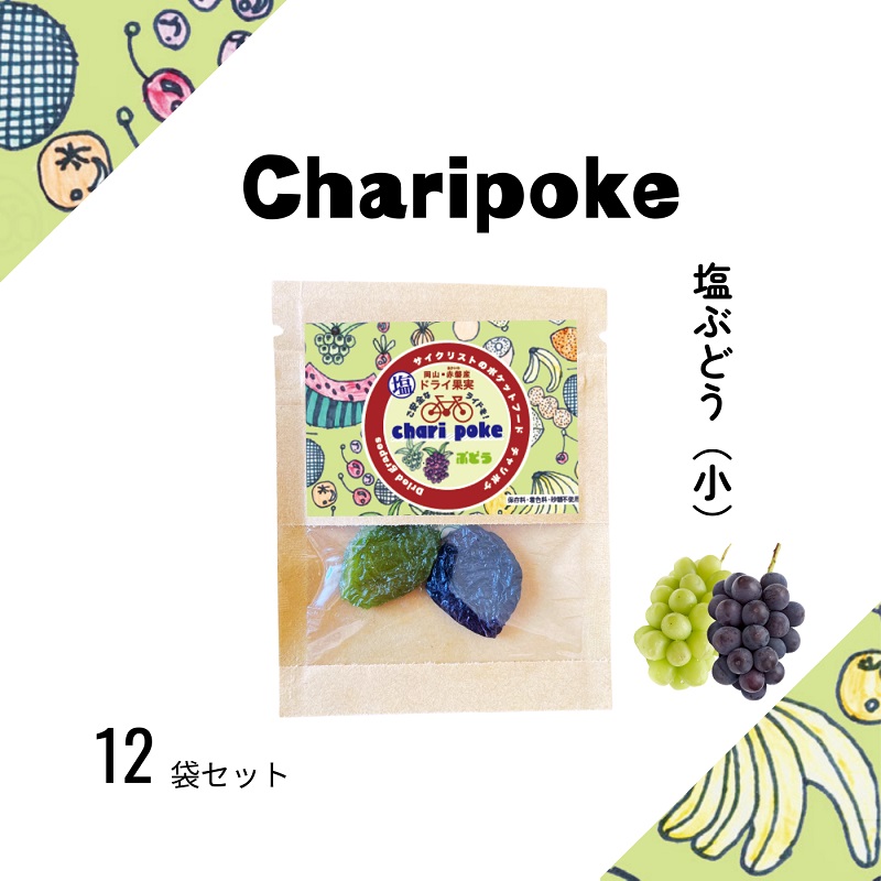 yRԔ֎szhCt[c Chari poke `|P hCʎ Ԃǂ TCY R