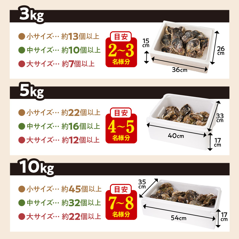 宮崎県延岡市のふるさと納税 延岡産天然岩牡蠣（生食用）3kg（大）（2025年4月から発送開始） N036-YZA527