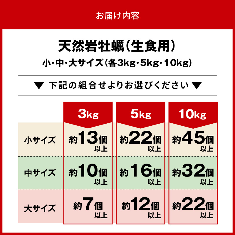 宮崎県延岡市のふるさと納税 延岡産天然岩牡蠣（生食用）3kg（大）（2025年4月から発送開始） N036-YZA527