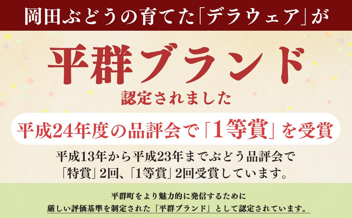 奈良県平群町のふるさと納税 【先行予約】 デラウェア L～2L （11～16房） 約2kg | フルーツ ぶどう 葡萄 ブドウ デラ ウェア 奈良県 平群町