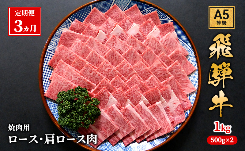 【定期便3ヶ月】牛肉 飛騨牛 焼き肉 セット ロース 又は 肩ロース 1kg 黒毛和牛 Ａ5 美味しい お肉 牛 肉 和牛 焼肉 BBQ バーベキュー 【岐阜県池田町】