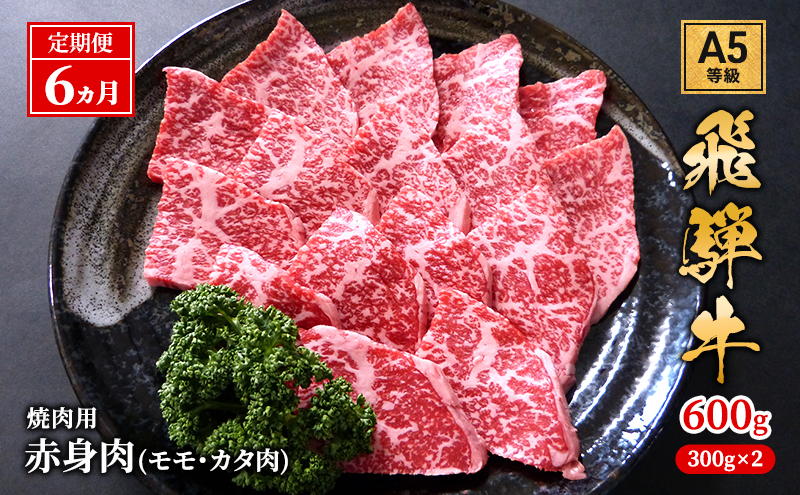 【定期便6ヶ月】牛肉 飛騨牛 焼き肉 セット 赤身 モモ 又は カタ 600g 黒毛和牛 Ａ5 美味しい お肉 牛 肉 和牛 焼肉 BBQ バーベキュー 【岐阜県池田町】