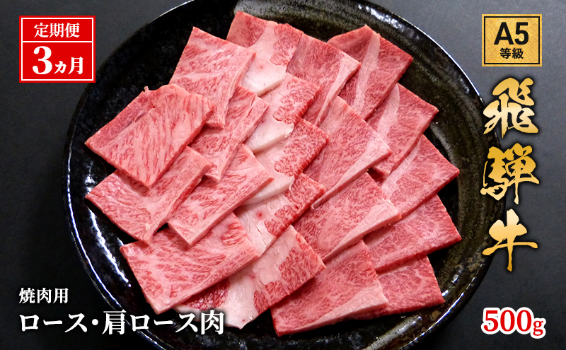 【定期便3ヶ月】牛肉 飛騨牛 焼き肉 セット ロース 又は 肩ロース 500g 黒毛和牛 Ａ5 美味しい お肉 牛 肉 和牛 焼肉 BBQ バーベキュー 【岐阜県池田町】