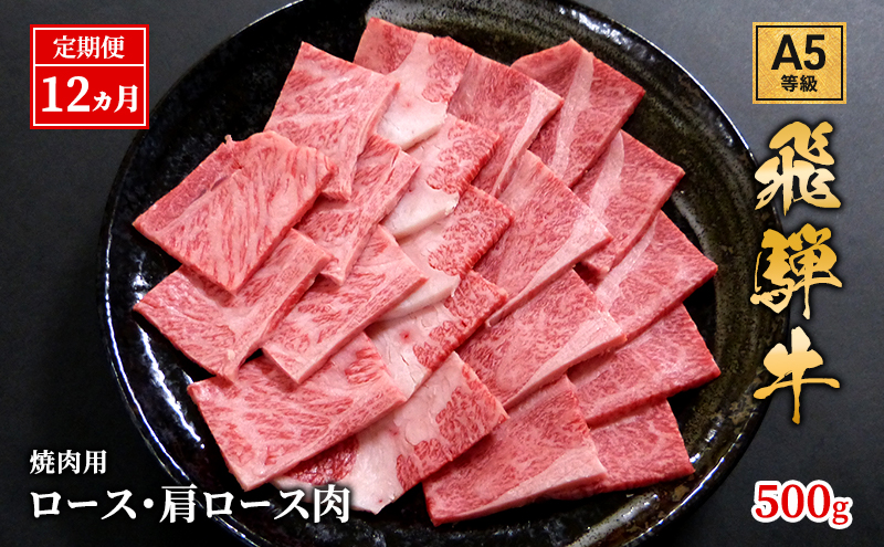 【定期便12ヶ月】牛肉 飛騨牛 焼き肉 セット ロース 又は 肩ロース 500g 黒毛和牛 Ａ5 美味しい お肉 牛 肉 和牛 焼肉 BBQ バーベキュー 【岐阜県池田町】