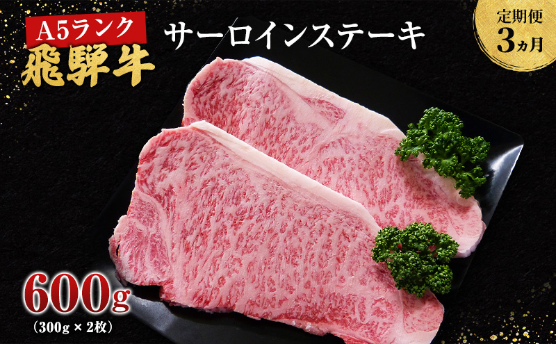 【定期便3ヶ月】牛肉 飛騨牛 サーロイン ステーキ セット 600g （ 1枚 約300g × 2枚 ） 黒毛和牛 Ａ5 美味しい お肉 牛 肉 和牛 サーロインステーキ 【岐阜県池田町】