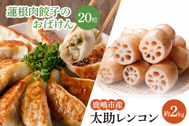 【セット販売】太助レンコン&蓮根肉餃子のおばけん 【2kg&20粒】【野菜 ギョーザ れんこん しゃきしゃき おいしい 食べきり 茨城県 鹿嶋市】（KBU-4）