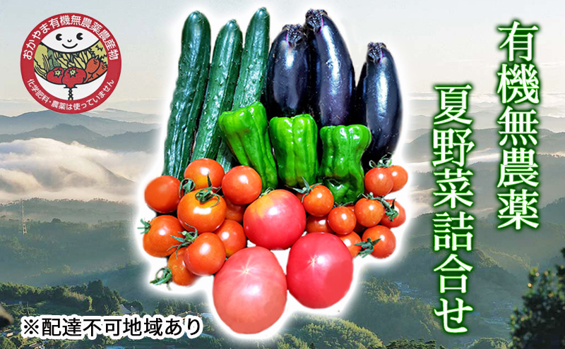 とまと フルーツ トマト 1袋約250g入り 6袋 野菜 岡山 高梁市産 2023年 先行予約 |  【公式】岡山県高梁市ふるさと納税直営サイト「たかはしじゃろ！」