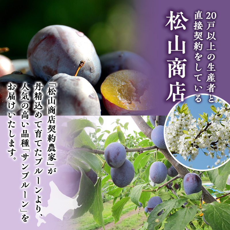 北海道仁木町のふるさと納税 先行受付 2024年9月から順次出荷 北海道仁木町産 プルーン 2kg（ サンプルーン ）厳選品 松山商店