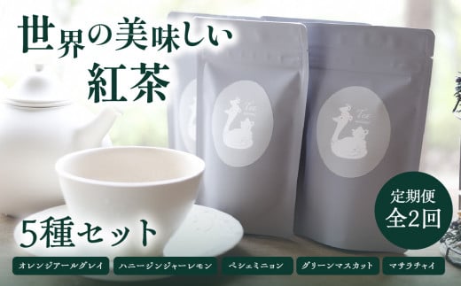 [全2回定期便]世界の美味しい紅茶5種セット 紅茶 紅茶専門店 紅茶詰め合わせ 紅茶セット ティータイム ティーバッグ[010-03-T1]